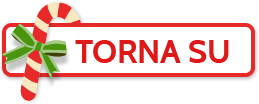 Torna su